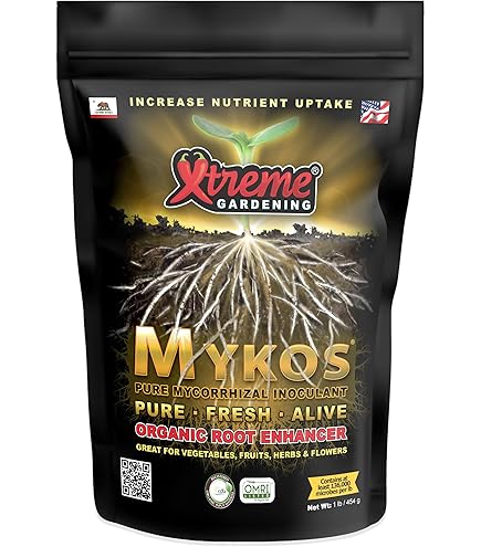 Myosotisページ Myosotis alpestris subsp. alpestris | Plants of the World Online